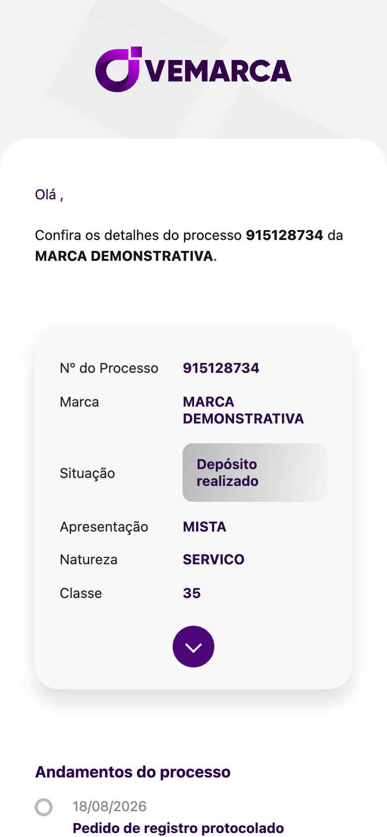 Tela interna de um processo no aplicativo Vemarca com dados demonstrativos