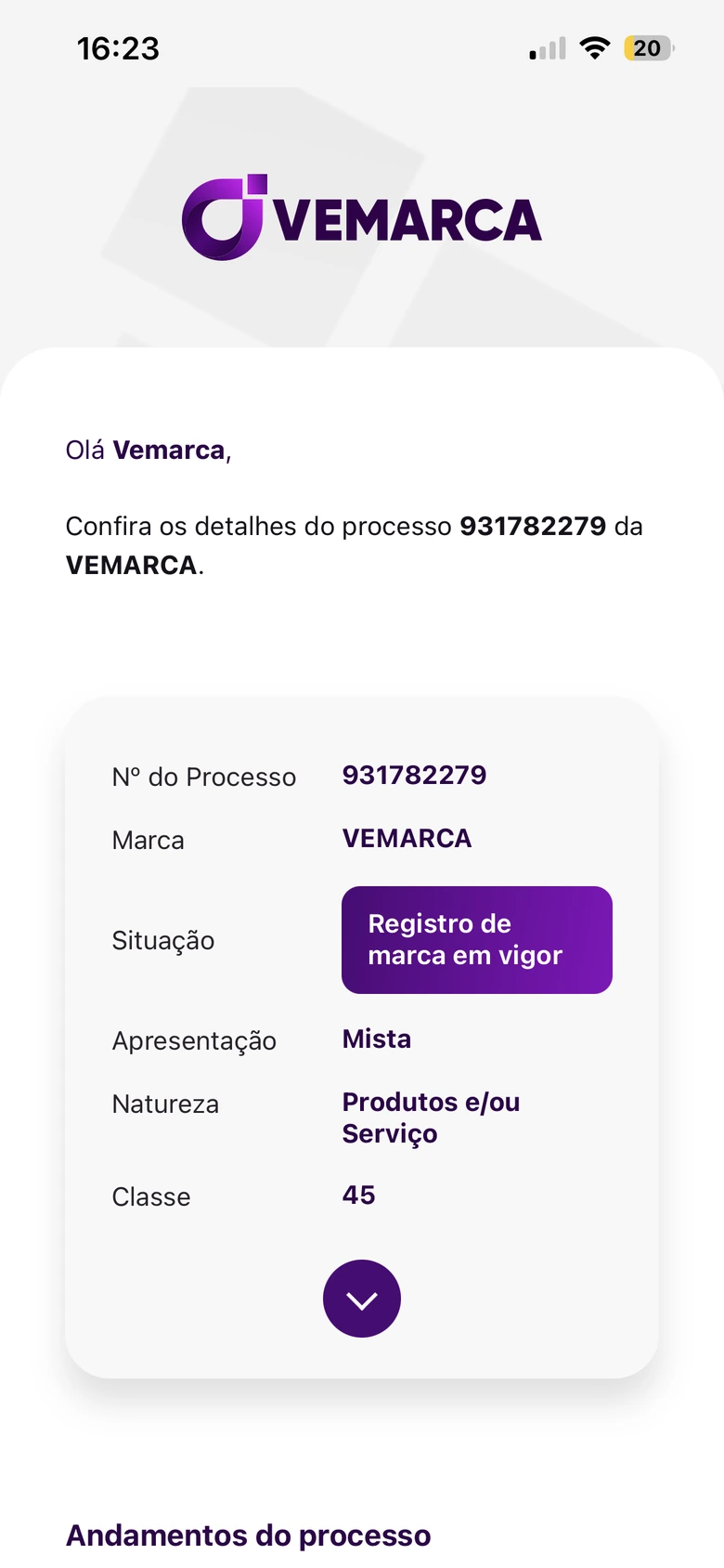 Detalhes de um processo da marca VEMARCA